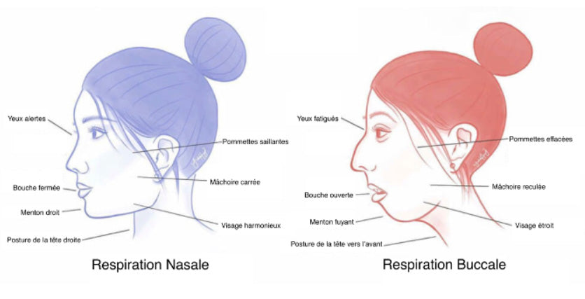 Nasal breathing at night: what the science actually says (and how to benefit)